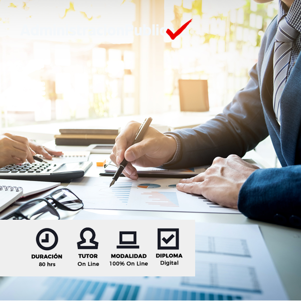 Curso Gestión Presupuestaria, Contabilidad Gubernamental y NICSP (Normas Internacionales de Contabilidad del Sector Público)