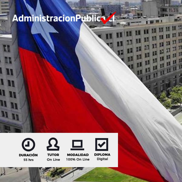 Curso Estructura del Estado y Sistema Político Chileno
