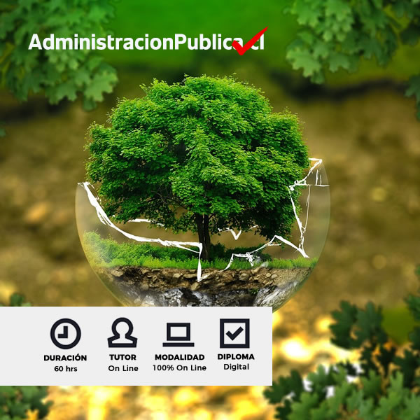 Curso Política Ambiental y Cambio Climático