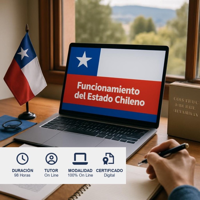 Funcionamiento del Estado Chileno